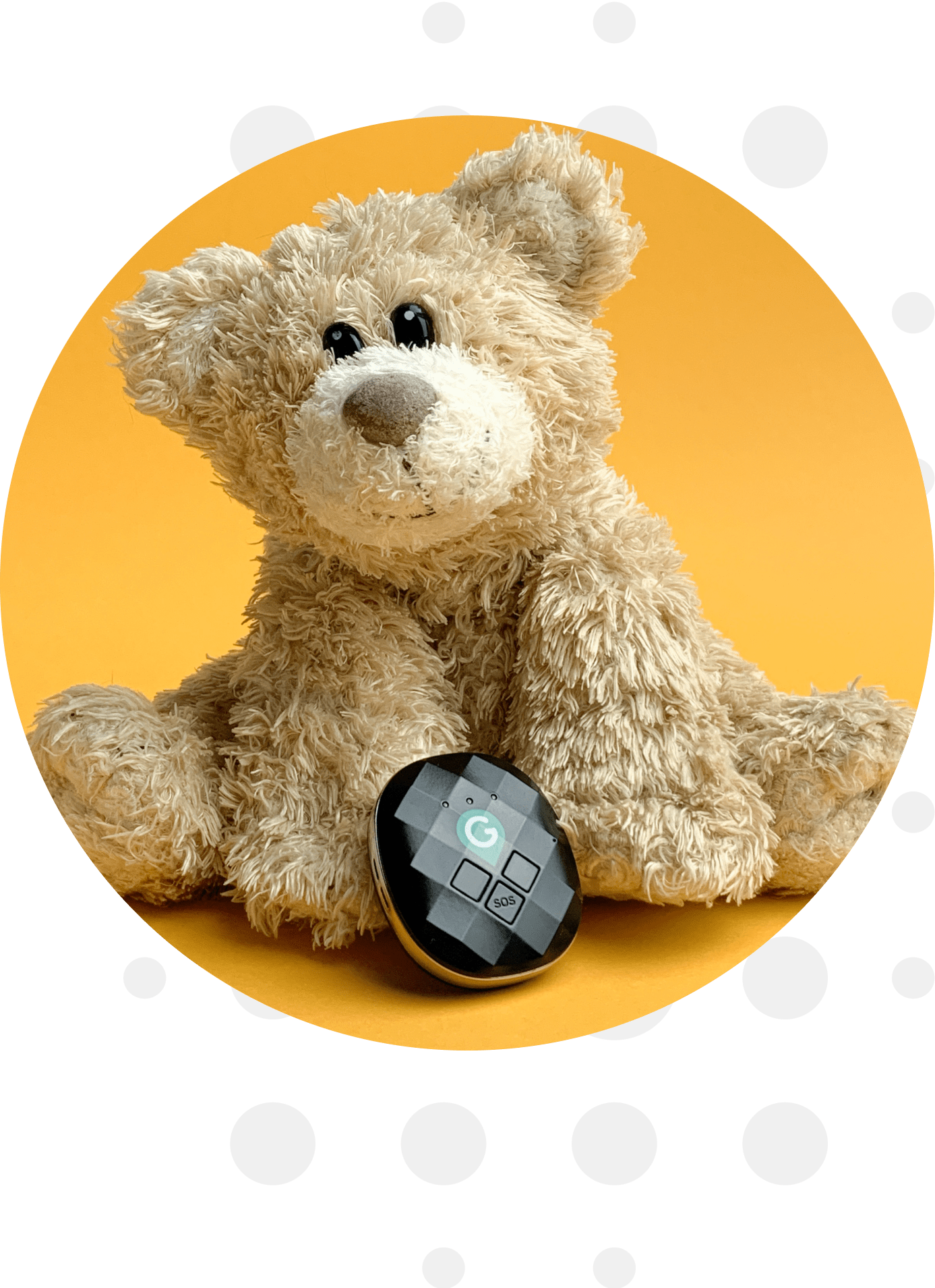bear
